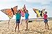 HQ Kites Swallowtail L Butterfly Kite, 51 Inch Single Line Kite with Tail