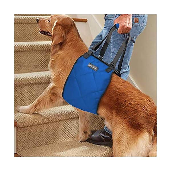 Dog Harness Sling Lift Aid ACL Brace for Rear Leg Support of Older
