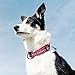 Hurtta Padded Dog Collar, Cherry, 16-20 in