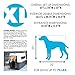 Pet Kennels X-Large