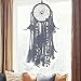 Dremisland Dream Catcher Handmade Traditional White Feather Wall Hanging Car Hanging Home Decoration Ornament Decor Ornament Craft Gift (Black)