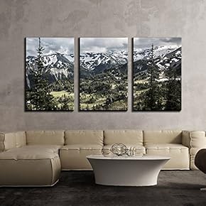 3 Piece Canvas Wall Art - Nature Scenery with Trees and Mountain Peaks in The Background - Modern Home Art Stretched and Framed Ready to Hang - 16"x24"x3 Panels