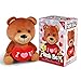 Toyvian Stuffed Animal Bear Plush Toy I Love You Gift Red Heart Soft Animal Doll for Kids Girlfriend Valentine's Day, 10 Inches, Brown