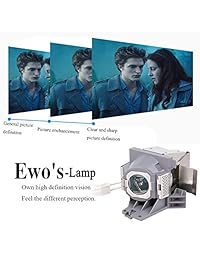 EWO'S - Bombilla de repuesto para proyector Optoma BL-FU195C BL-FP210B