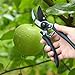 WINSEE Bypass Pruning Shears, Professional Hand Pruner with Safety Lock, Tree Trimmers Secateurs, Garden Shears, Hand Clippers for The Garden