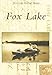 Fox Lake (Postcard History Series) by Paul J. Jakstas
