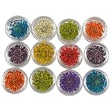 12 Colors 3D Decoration Real Dry Dried Flower For UV Gel Acrylic Nail Art Tips