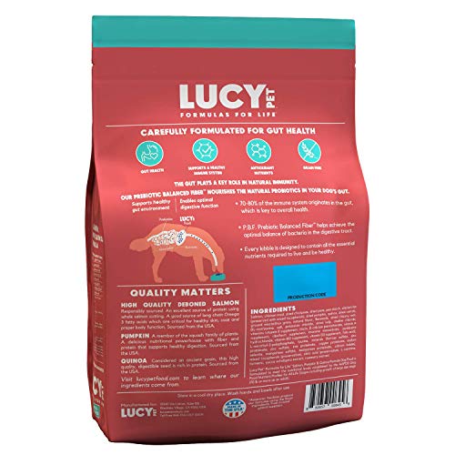 Lucy Pet Formulas for Life Salmon, Pumpkin, & Quinoa Dry Dog Food, All