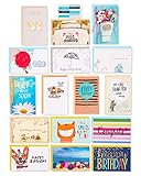 American Greetings Premium All Occasion Cards Assortment with Organizer (16-Count)