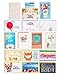American Greetings Premium Multi-Occasion Greeting Cards Set with Organizer (Pack of 16) - Birthday, Baby, Wedding, Sympathy, Thinking of You, Thank You, Get Well, Congratulations, Blank Assortment