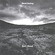 Dark Wood