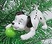 Disney 101 Dalmatians Christmas Tree Ornament Set Featuring Cruella De Vil, Pongo, Perdita, Lucky, Rolly, Patch and Penny