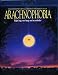 Arachnophobia [Blu-ray]
