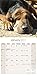 Bloodhound Calendar 2017 - Dog Breed Calendar - Wall Calendar 2016-2017
