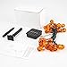 Hsctek Solar String Light,Halloween Indoor/Outdoor Decorative Lights for Room, Patio, Garden, Gate, Yard, Parties(20ft,25 LED)(Warm,Jack-o'-Lantern)