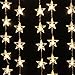 AGPtek 110V 1.5M(W) x 1M(H) Decorative LED Curtain Light 54 LED for Wedding Party Holiday Home Garden Decoration - Warm White Star Curtain