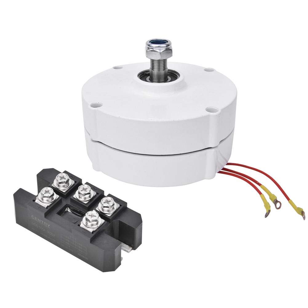 Yanmis 12V 100W Wind Generator, NE-100 3-Phase Permanent Magnet Motor Wind Turbine Synchronous Alternator(Generator + Rectifier)