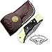 Buffalo Horn 5.5'' Custom Handmade Damascus Steel Double Brass Bloster with Sharpening Rod Folding Pocket Knife Back Lock 100% Prime Quality Come with Leather Sheath