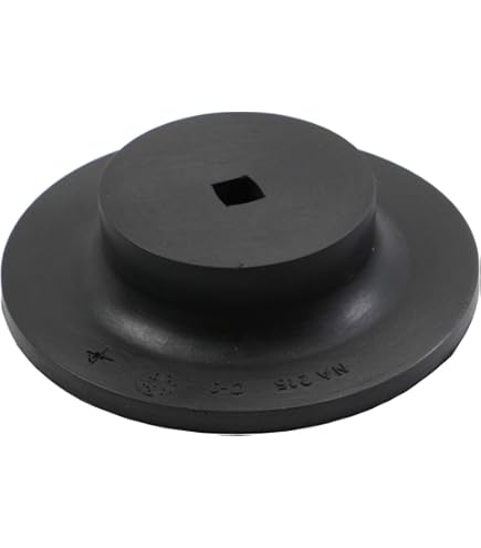 MOOG 81049 Coil Spring Set - Fits Chevrolet Trailblazer & Compatible SUVs