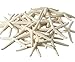 Nautical Crush Trading Starfish Decor - Real 4-5