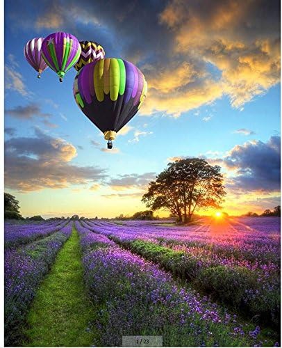 Morgofun DIY Oil Painting Paint by Numbers for Adults, Paint by Number Kit with Frame Hot Air Balloon Over Beautiful Lavender Garden Oil Painting 16x20inch