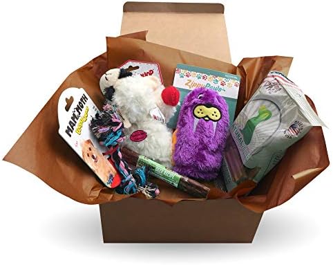 Doggie Fun Box: Dog Toys Set for Boredom Plus Crunchy Chew Stick and Chicken Stick DentalTreats - for Small and Toy Dogs