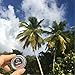 FairTaleGhana Natural Raw Organic Plant Based African Shea Butter Set with Travel Tins