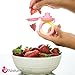 NatureBond Silicone Teat Sac for Baby Food/Fruit Feeder, BPA Free