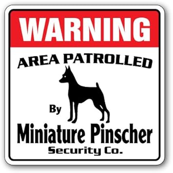 miniature pinscher guard dogs