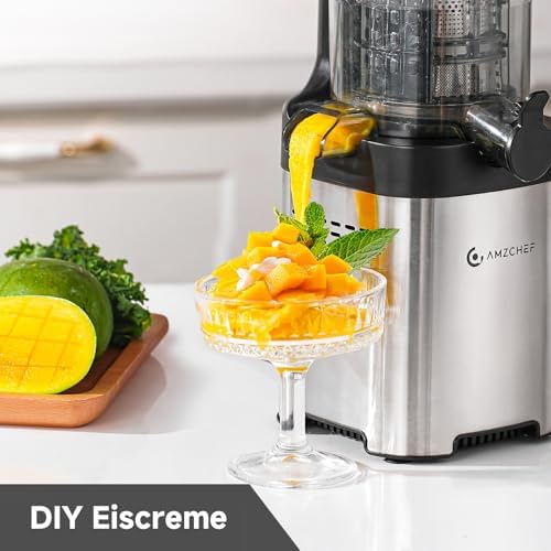 Entsafter - Slow Juicer mit 135 mm großem Einfüllschacht für ganzes Obst und Gemüse - Leicht zu Reinigen mit 2 Gläsern - Silber
