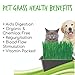 Handy Pantry Organic Cat Grass Kit - Includes 3 Trays, Soil Pucks, and 3 Packs Non GMO Wheatgrass Seed - A Healthy Treat For Cats, Dogs, Rabbits, More