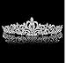 CJESLNA Wedding Prom Engagement Party Bridal Bridesmaid Flower Rhinestone Crown Tiara 11.42