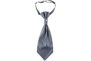 Lovacely Mens Pre-tied Paisley Cravat Ascot Tie Wedding Cravat Double Satin Casual Paisley Ascot Neck Tie