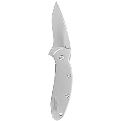 Kershaw Scallion Pocket Knife (1620FL); 2.4 420HC