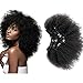 Afro Kinky Curly Clip in Human Remy Hair Extensions Brazilian Curly Clips Hair Extensions 4B 4C 8A Virgin Thick Natural Black Color Clip on For Black Women 10-22 inch (10 inch, AC #1B)
