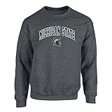 Michigan State Spartans Crewneck Sweatshirt Charcoal