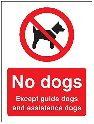 No Dogs Allowed - Self Adhesive Vinyl Sign