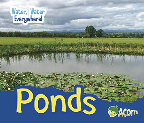 Ponds (Water, Water Everywhere!) Paperback – August 1, 2016