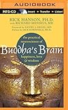 Buddha's Brain: The Practical Neuroscience of Happiness, Love & Wisdom