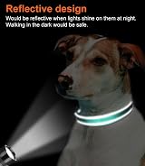 Joytale Reflective Dog Collar XS Teal Soft Neoprene Padded Nylon view 5