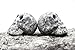 COLIBROX Hand-carved Set of 2 Beverage Chilling Granite Skull Whiskey Stones (Chilling Rocks) - in Gift Box