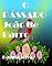Livro O Passarinho João de Barro