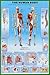 Human Body Education Poster Print, 24x36 Collections Poster Print, 24x36
