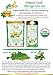 Organic Moringa Tulsi Tea (28 Potent Tea Bags). USDA Certified Organic. Rich in Antioxidants and Daily Needed Essential Nutrients. No Artificial Flavors or Preservatives. All Natural!