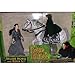ToyBiz Year 2001 The Lord of the Rings Movie Series The Fellowship of the Ring Deluxe Horse and Rider Set - Arwen with Light-Up Evenstar and Wounded Frodo on Horse, Asfaloth with Galloping Action