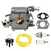 Hilom Carburetor for Homelite 35cc 38cc 42cc Chainsaw OEM# 309362001 309362003 300939006 Carb UT-10560 UT-10562 UT-10564 UT-10566 UT-10568 UT-10580 UT-10582