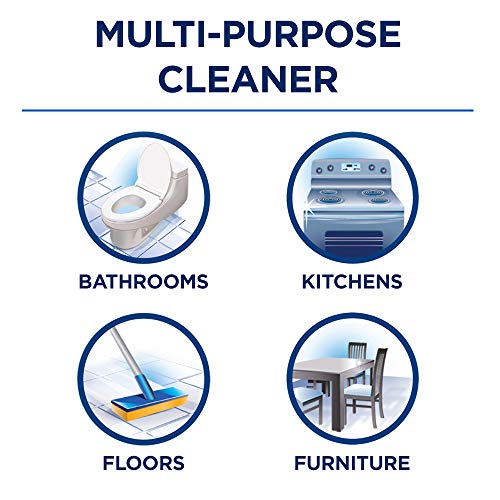 Fabuloso AllPurpose Cleaner with Bleach Alternative, Spring Fresh