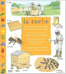 La  ruche