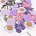 CheeseandU Real Mixed Multiple Dried Pressed Flowers, Chrysanthemum, Baby Breath, Larkspur, Hydrangea, Queen Anne's Lace Alyssum Leaves Natural Pressed Flowers For Art Craft DIY Resin, 34PCS