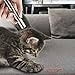 Deyace Rechargeable Interactive Cat Toy for Cats Dogs Exercise and Training, 4 in 1 Function Pets Chaser Wand, Red Focused Light, UV, Flashlight, Charging Cable